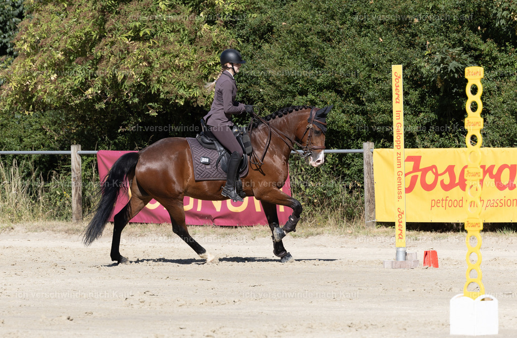 WL_Speed_105_KerstinBernhardt | working equitationturnier fotograf videograf stoibphotography marixx film working equitation deutschland reitsport turnierfotografie eventfotografie equestrian events