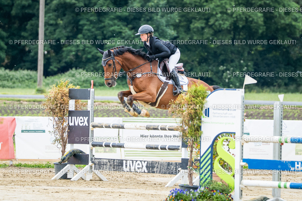 DSC04047 | Pferdegrafie