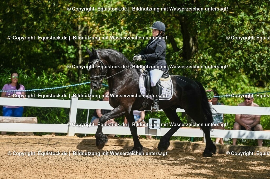 20230715_02_Dressurreiterprüfung Kl.L_0171 | equistock