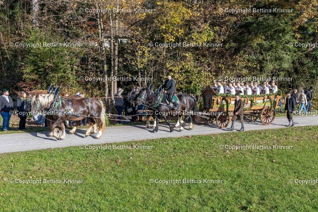 LBT24-469 | foto-bettina-krinner - Realisiert mit Pictrs.com