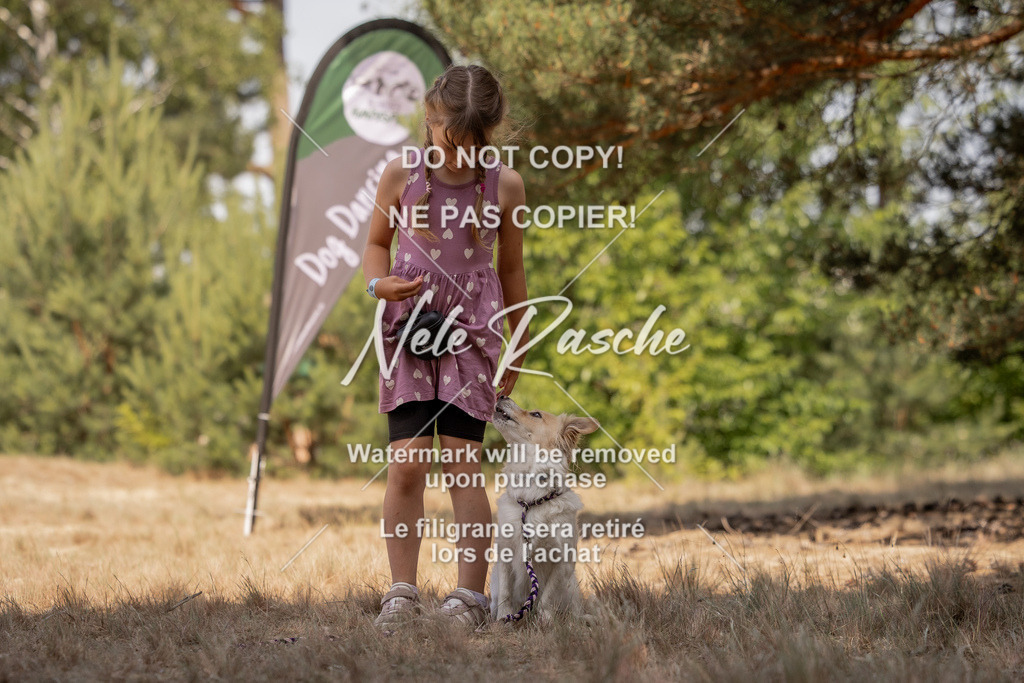 nelerasche_soDD2_292 | nelerasche