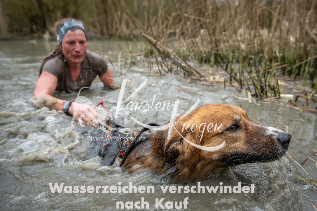 1330_ZZ99727 | kk-dogfotos