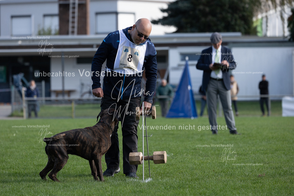 _16A6807 | Einzigartige Fotos von Hunden & Menschen –Actionfotos, Portraits, Vereinsaufnahmen & Paarshootings – authentisch, lebendig & mit Herz.