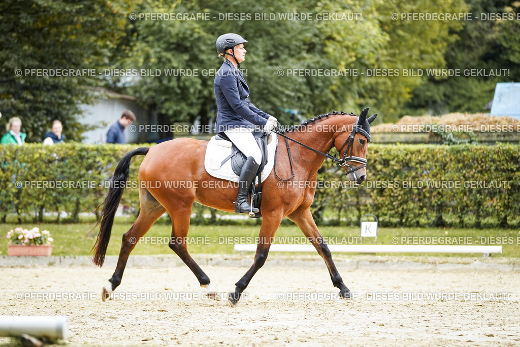 DSC01506 | Pferdegrafie