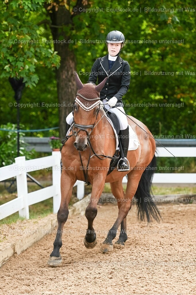 20230716_10-1_Reiter-WB Schritt - Trab - Galopp_0088 | equistock