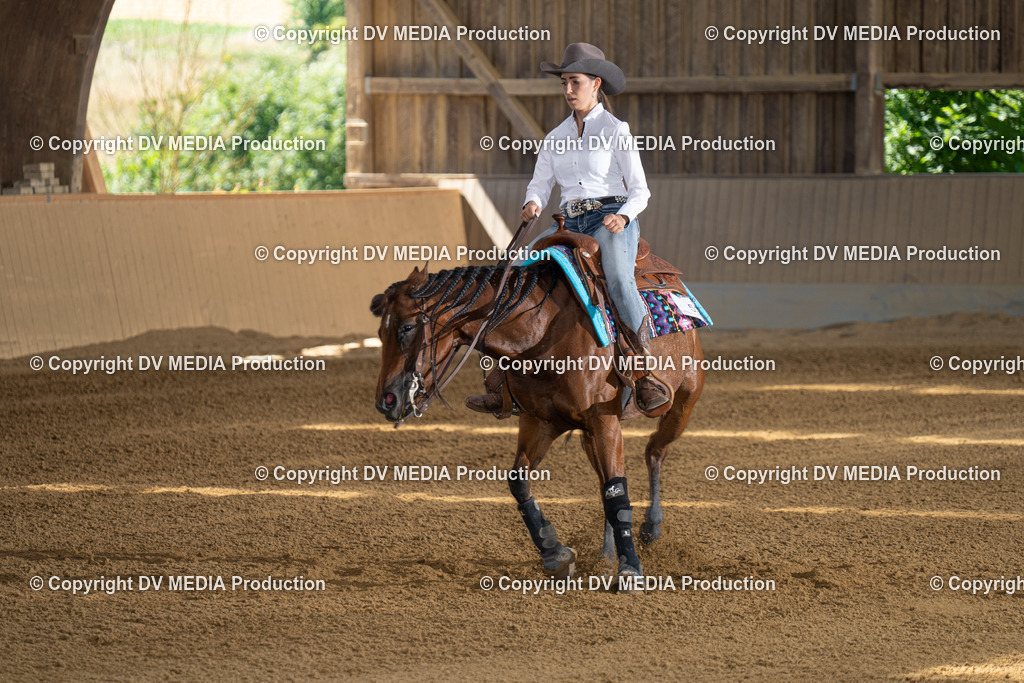 DSC00007 | dv-media-shop - Realisiert mit Pictrs.com