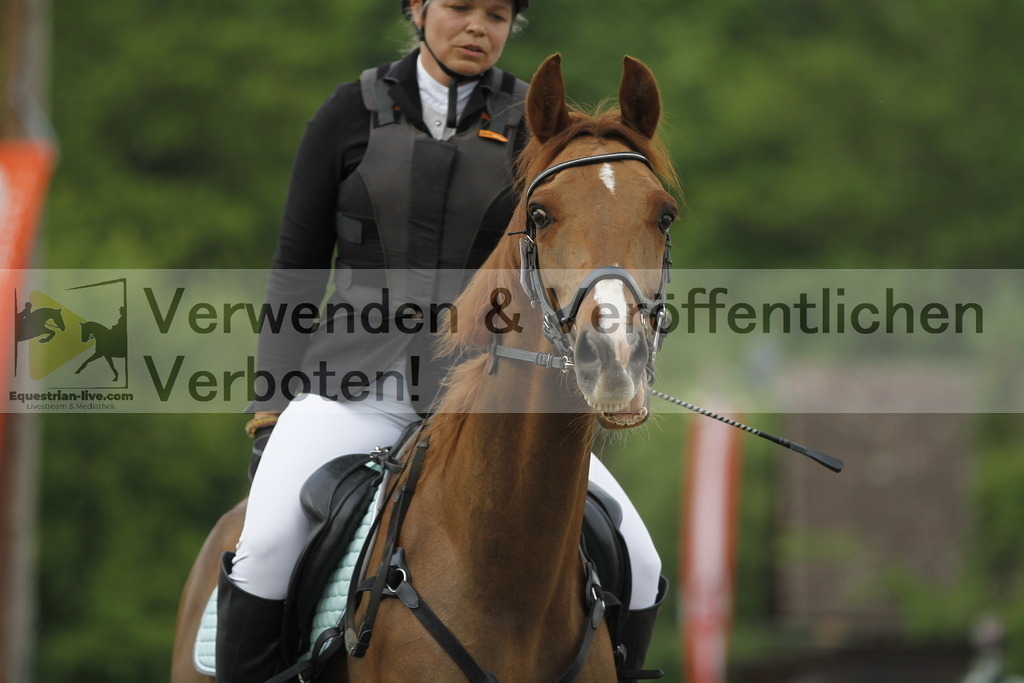_MG_4244 | equestrian-live-com