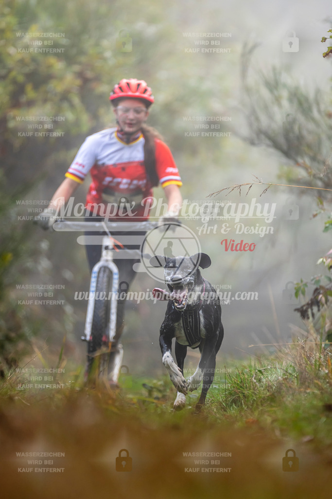MompixPhotography_20TSB_E4_DS1-37 | PayLife