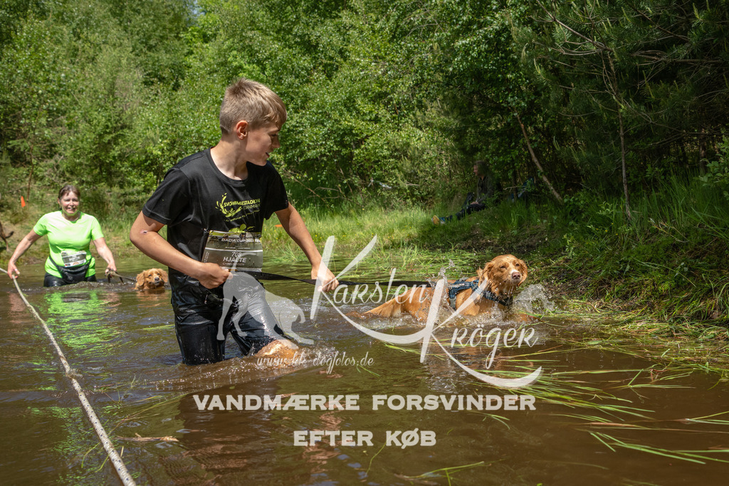 1210DKK992033 | kk-dogfotos