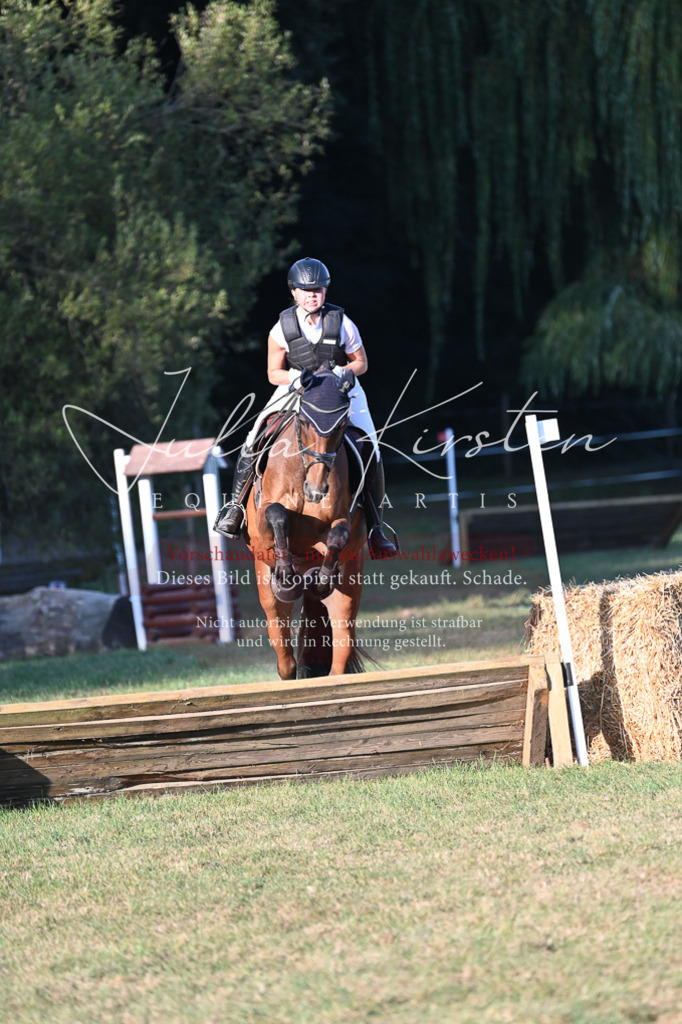 DSC_9160 | Pferde- und Turnierfotografie in Westsachsen. Pferdeportraits, Auftragszeichnungen und intuitive Kunst.