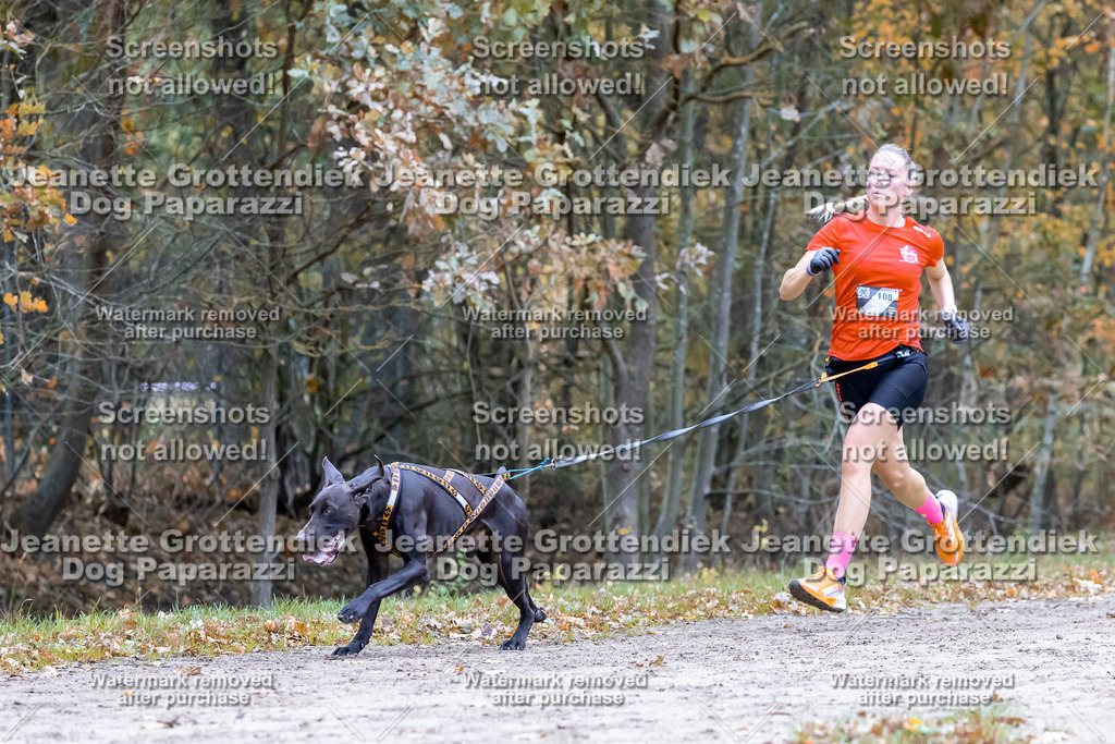 Dog Paparazzi - SD CaniX Championship 2025-401 | Dog Paparazzi Jeanette Grottendiek Fotografie & Videografie - Realisiert mit Pictrs.com