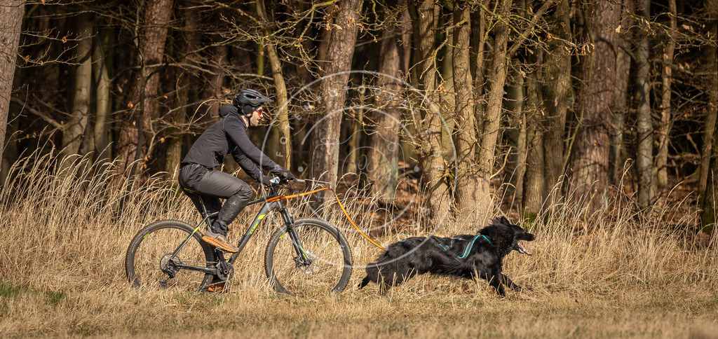 DV3A4475 | Hundefotografie, Tierfotograf, Pfotenfotografie, Fotoshooting Hund, Hunde Portrait, Hundesport, Hundeportraits, Heideshooting, Hunde, Sportfotograf, Hundefotograf, Turnierhundsport, THS,  - Realisiert mit Pictrs.com