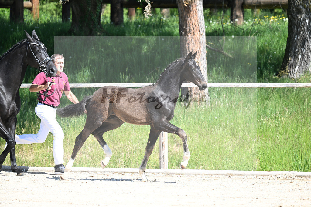 Escaneno x Negro_HF_Eder_10250060 | hf-fotografie - Realizzato con Pictrs.com