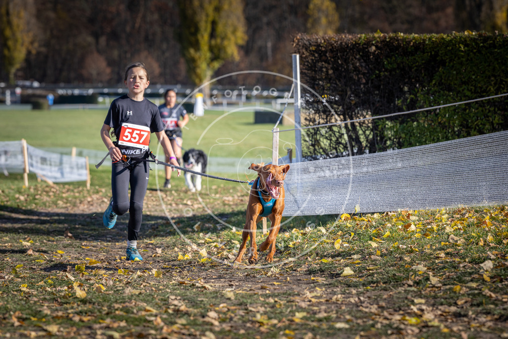 CaniXpix_DV3A8581 | Hundefotografie, Tierfotograf, Pfotenfotografie, Fotoshooting Hund, Hunde Portrait, Hundesport, Hundeportraits, Heideshooting, Hunde, Sportfotograf, Hundefotograf, Turnierhundsport, THS,  - Realisiert mit Pictrs.com