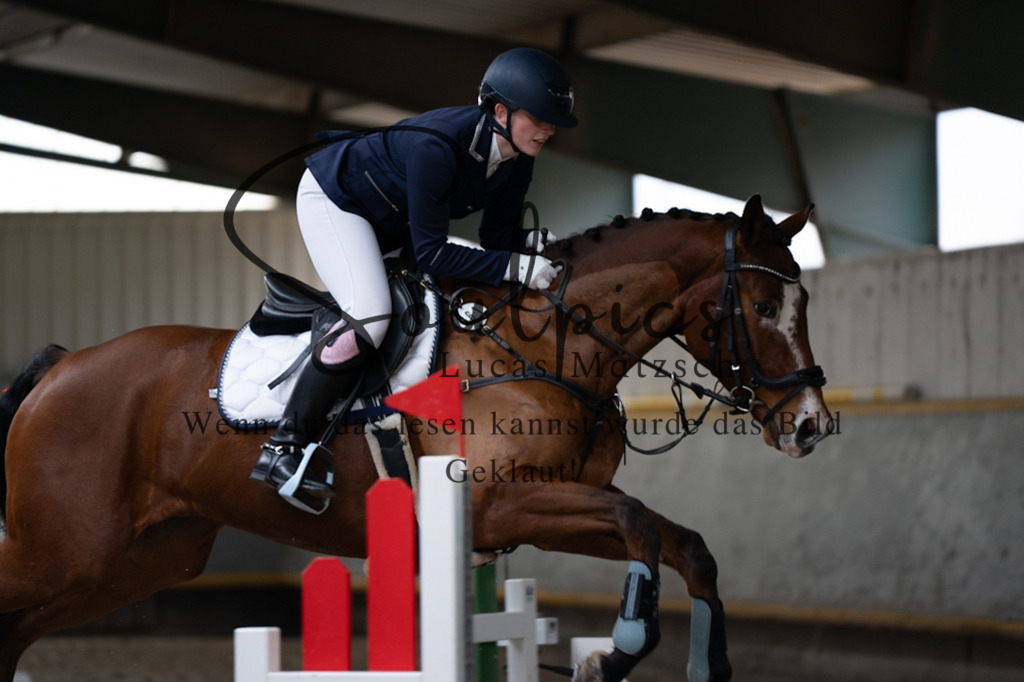 A7V03685 | Pferdefotograf