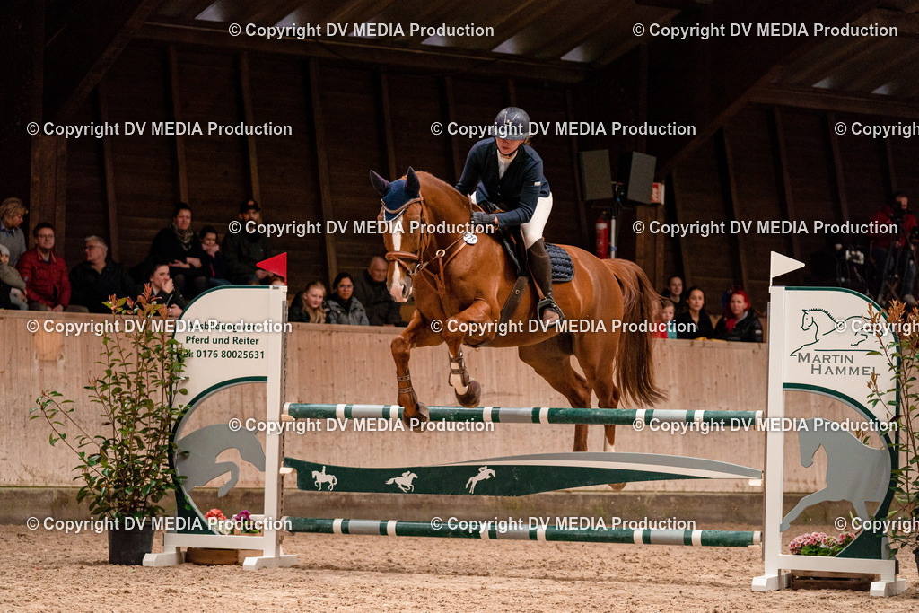 Springen Tag 2-340 | dv-media-shop - Realisiert mit Pictrs.com