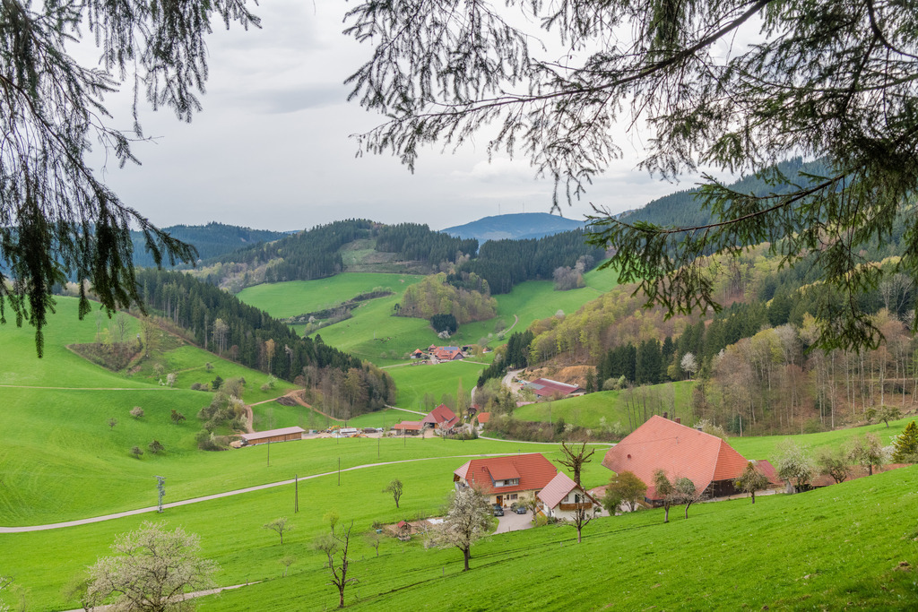 Ausblick in den Büchern | <div id="allefotografen-seal-verified-green"></div><script src="https://www.allefotografen.de/956728/seal-verified-green/seal.js" async="async"></script> - Realisiert mit Pictrs.com