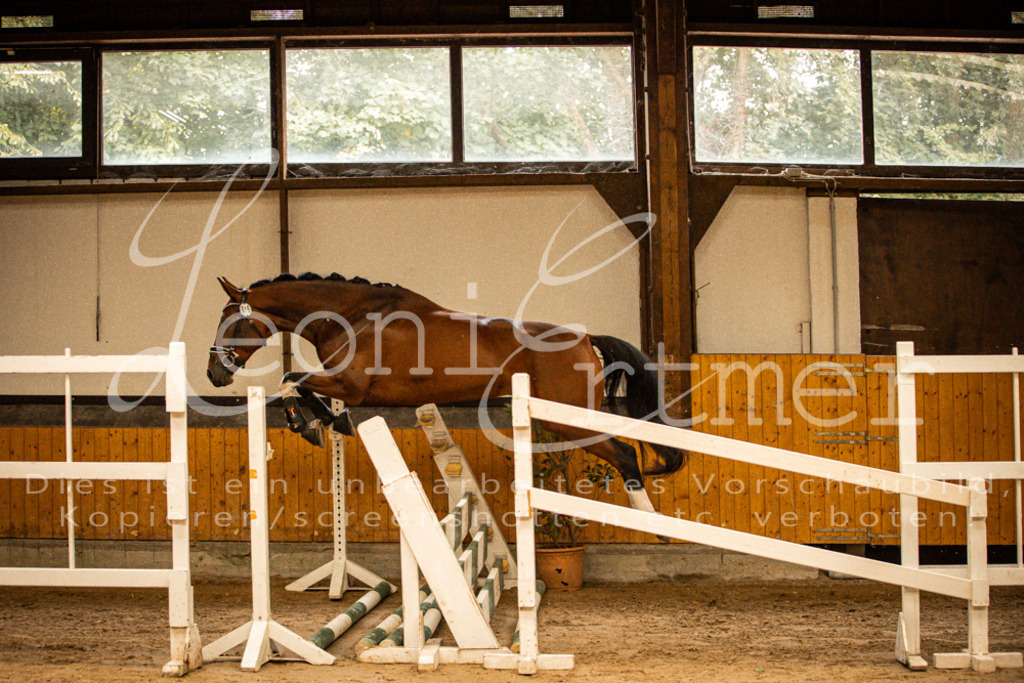 2FS_L00019 | Leoni Ertmer Photography - Realisiert mit Pictrs.com