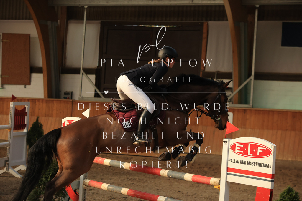 IMGT1187 | pl-fotografie