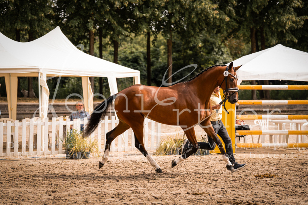 6.Fr00111 | Leoni Ertmer Photography - Realisiert mit Pictrs.com