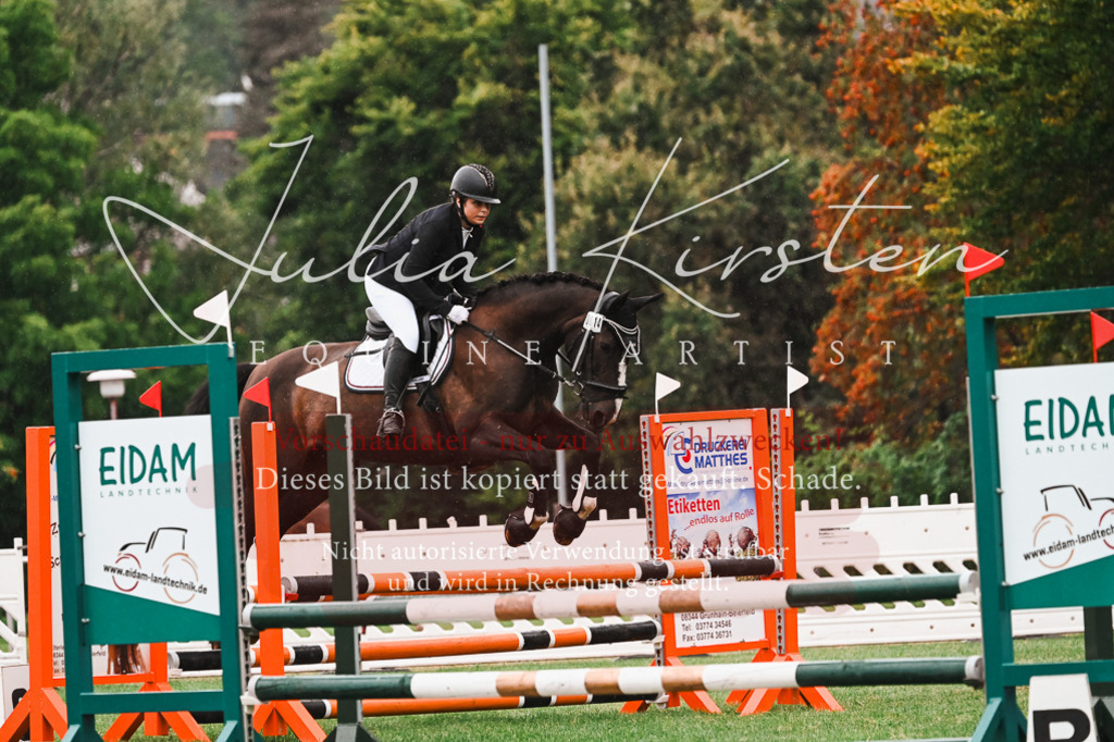 DSC_6321 | Pferde- und Turnierfotografie in Westsachsen. Pferdeportraits, Auftragszeichnungen und intuitive Kunst.