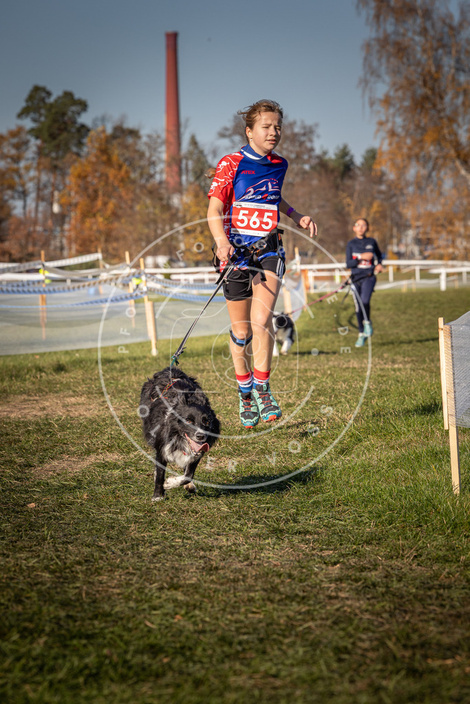 CaniXpix_0L8A7930 | Hundefotografie, Tierfotograf, Pfotenfotografie, Fotoshooting Hund, Hunde Portrait, Hundesport, Hundeportraits, Heideshooting, Hunde, Sportfotograf, Hundefotograf, Turnierhundsport, THS,  - Realisiert mit Pictrs.com