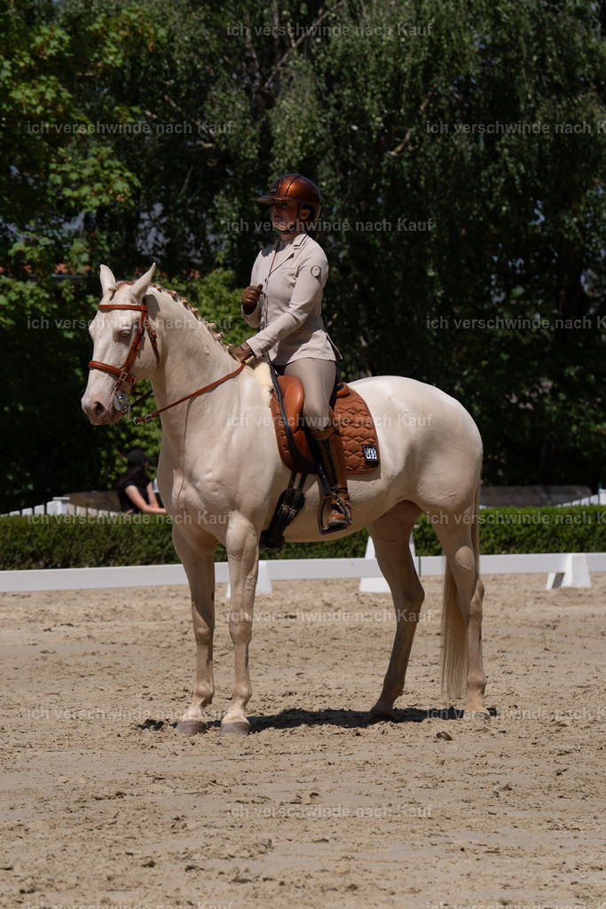 WS_DR_69_sinafilmart_IN02491 | working equitationturnier fotograf videograf stoibphotography marixx film working equitation deutschland reitsport turnierfotografie eventfotografie equestrian events