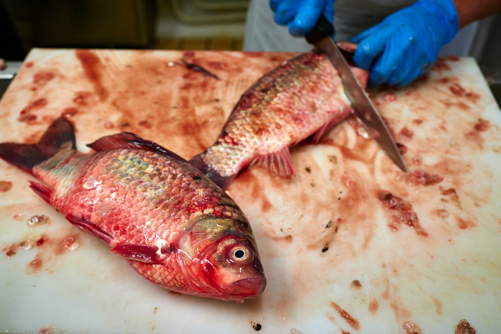Detailaufnahmen in der Fischfabrik | San Feliciano, Italien - August 31, 2016: Lago Trasimeno: Pescheria Pescatori del Trasimeno; Detailaufnahmen in der Fischfabrik. - Realisiert mit Pictrs.com