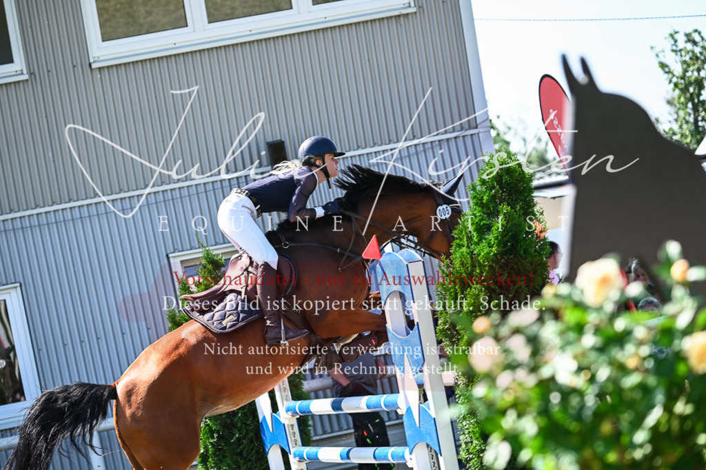 DSC_1604 | Pferde- und Turnierfotografie in Westsachsen. Pferdeportraits, Auftragszeichnungen und intuitive Kunst.
