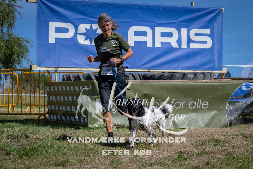 1146_ZZ92353 | kk-dogfotos