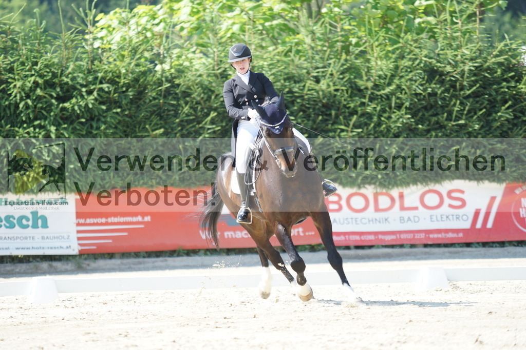 DSC02374 | equestrian-live-com