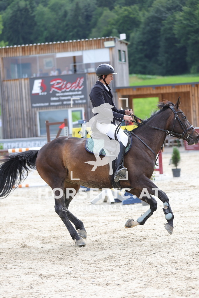 0P6A5582 | Willkommen bei Brunnmayr - Design & Fotografie – Ihrem Spezialisten für Reitturniere und Pferdeveranstaltungen in Oberösterreich, Salzburg und Bayern! Seit über 17 Jahren sind wir leidenschaftlich dabei.