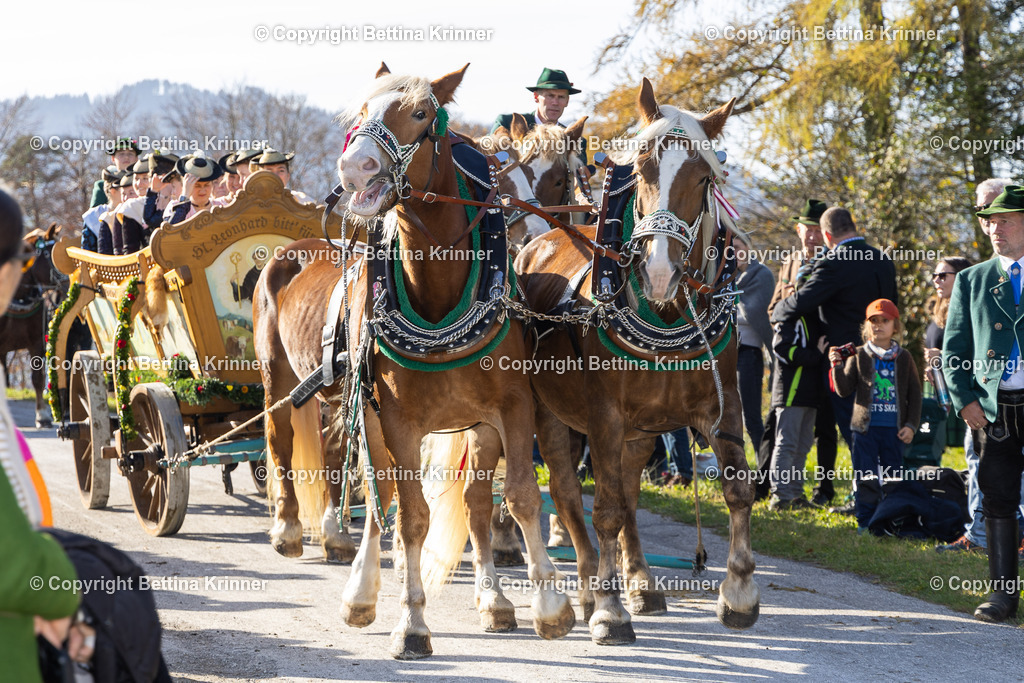 LBT24-1368 | foto-bettina-krinner - Realisiert mit Pictrs.com