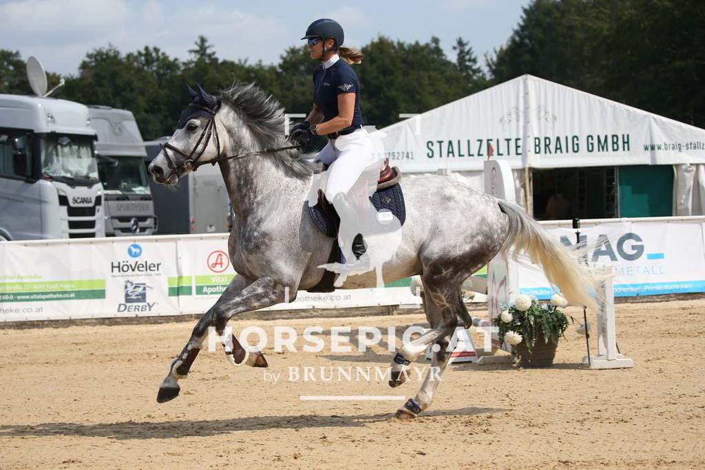 DL2Q4579 | Willkommen bei Brunnmayr - Design & Fotografie – Ihrem Spezialisten für Reitturniere und Pferdeveranstaltungen in Oberösterreich, Salzburg und Bayern! Seit über 17 Jahren sind wir leidenschaftlich dabei.