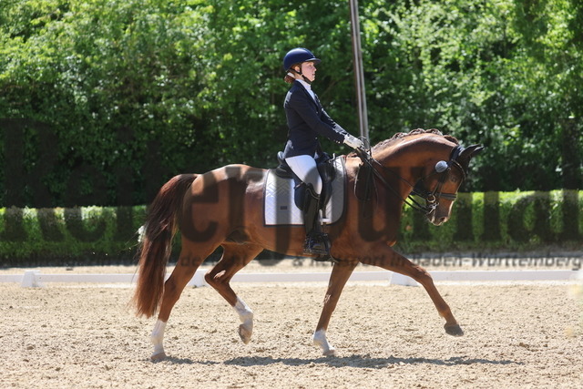 Böblingen_2025_Prfg.Nr.08_Dressurprüfung_Kl.M_Nürnberger Burgpokal_Emilia Cali Balabanic_Daymax (7) | Alle Fotos der Reiterjournal Fotografin Doris Matthaes im Reiterjournal Online-Fotoshop. - Realisiert mit Pictrs.com