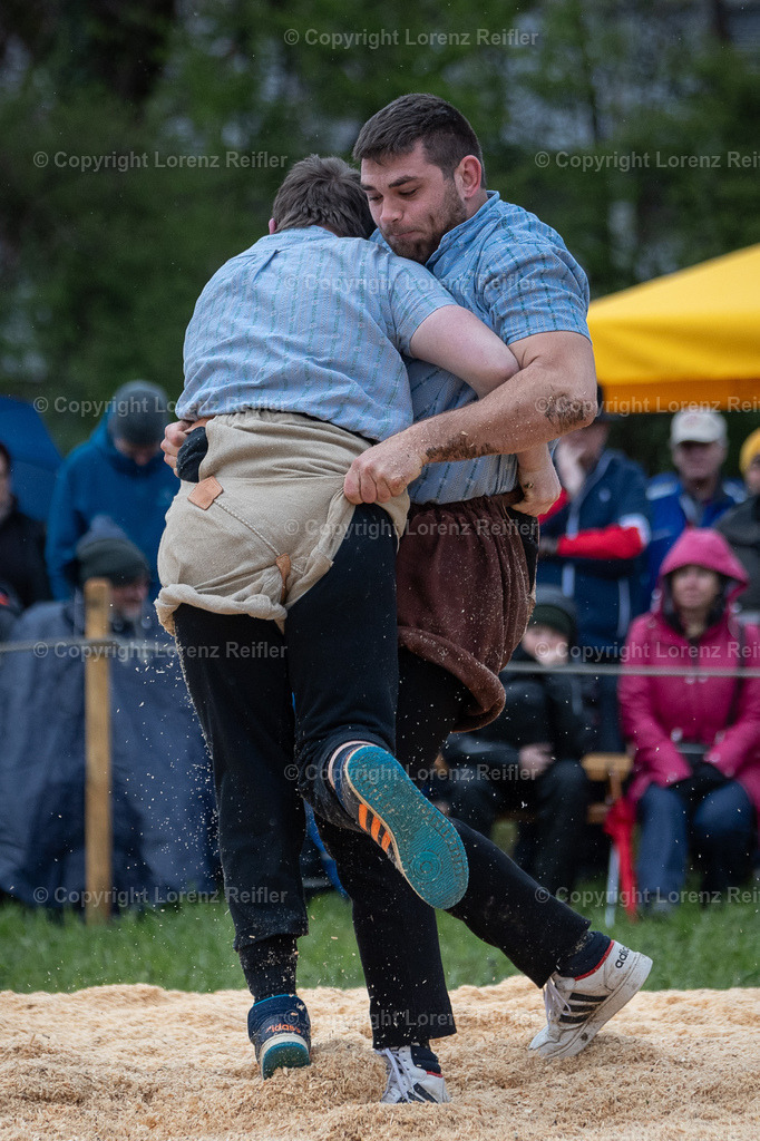 Schwingen -  Rheintal-Oberländer 2024 | Trübbach, 24.3.24, Schwingen - Rheintal-Oberländer.