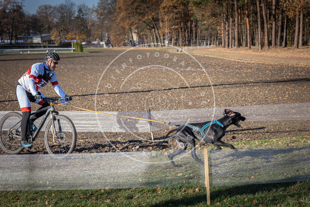 CaniXpix_DV3A3349 | Hundefotografie, Tierfotograf, Pfotenfotografie, Fotoshooting Hund, Hunde Portrait, Hundesport, Hundeportraits, Heideshooting, Hunde, Sportfotograf, Hundefotograf, Turnierhundsport, THS,  - Realisiert mit Pictrs.com