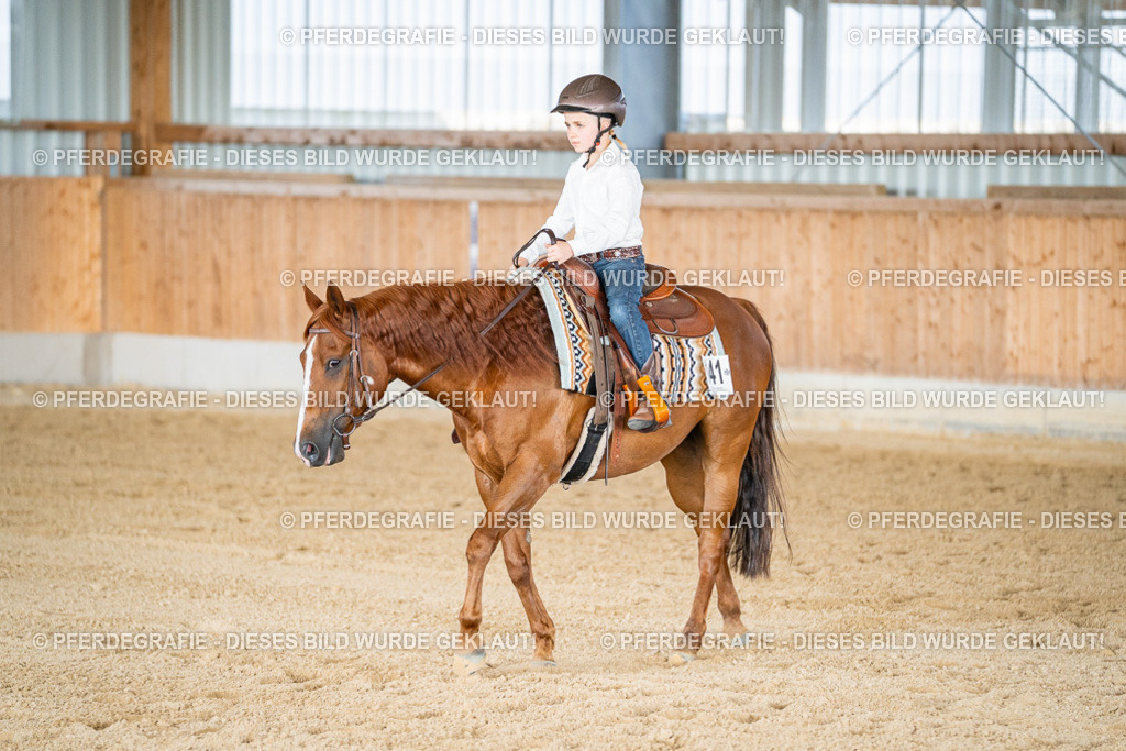 DSC09069 | Pferdegrafie