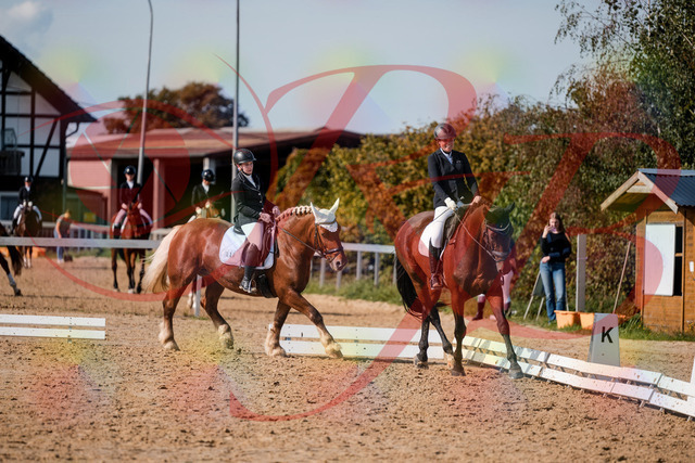 2026_10_03_Siefer-Hof_130504_Z63_68369036 | Professionelle Reitsport-, Turnier- und Eventfotografie von Robert Broda. Galerien mit ausgewählten und bearbeiteten Bildern direkt online ansehen und bestellen.