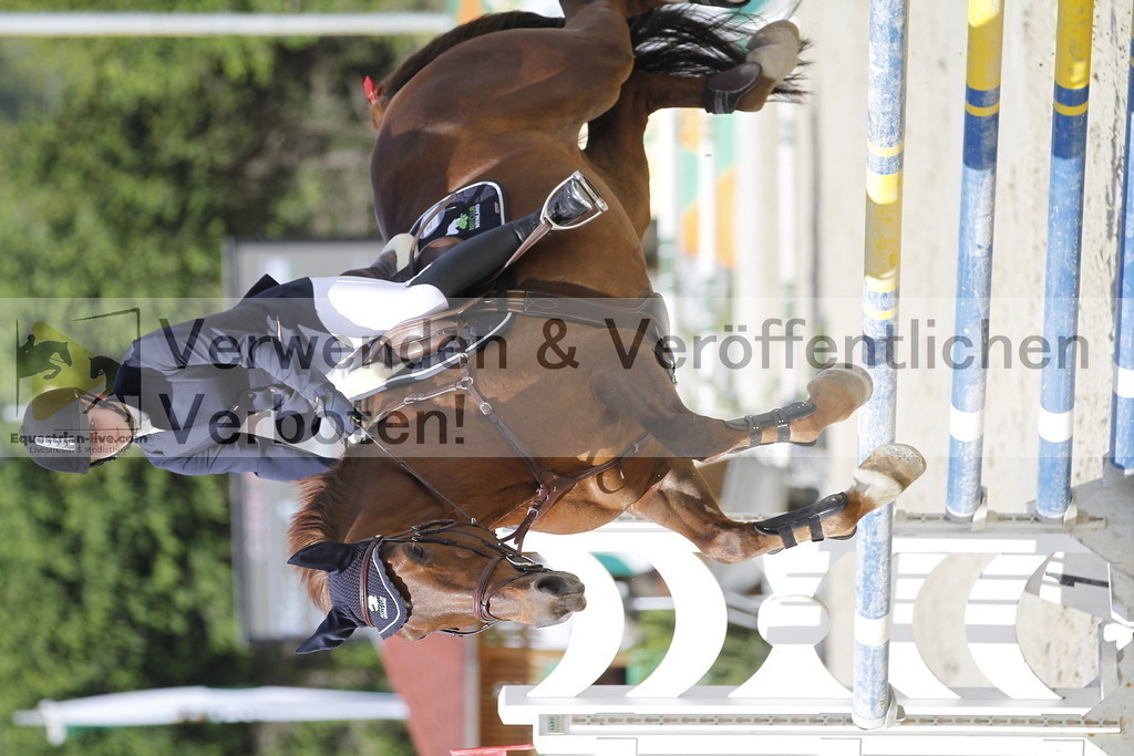 _MG_8349 | equestrian-live-com