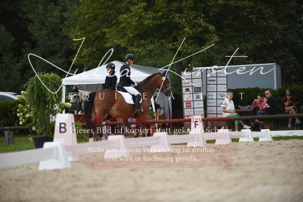 DSC_8239 | Pferde- und Turnierfotografie in Westsachsen. Pferdeportraits, Auftragszeichnungen und intuitive Kunst.