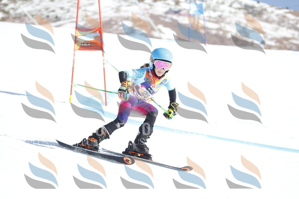 _U3G8918 | holidayphoto