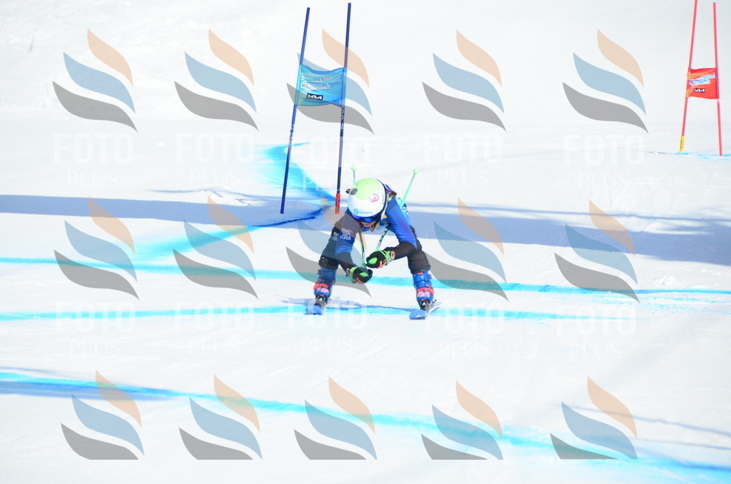 DSC_0416 | holidayphoto