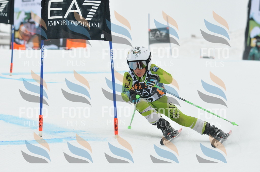 DSC_7856 | holidayphoto