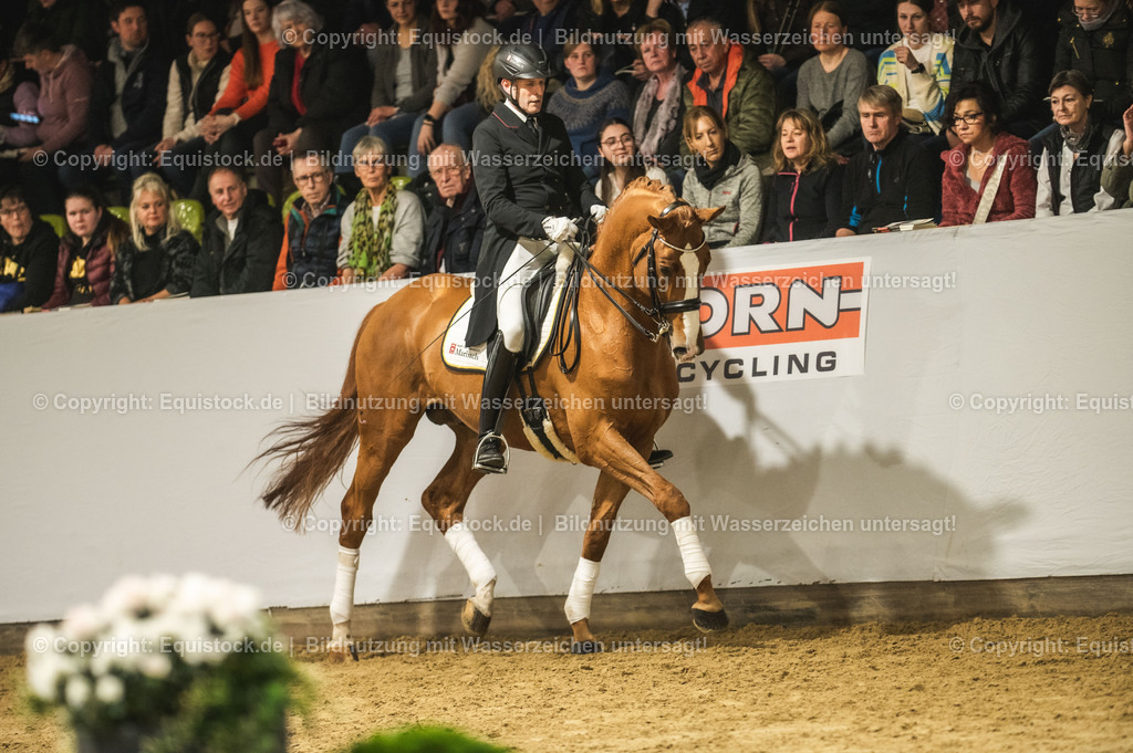20240302_Hengstvorstellung_Marbach_TOMsPiC_0880-2 | equistock