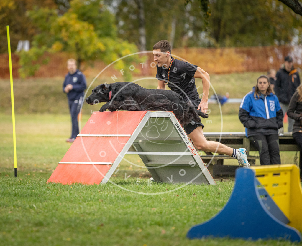 Pfotenfotografie_DV3A0028 | Hundefotografie, Tierfotograf, Pfotenfotografie, Fotoshooting Hund, Hunde Portrait, Hundesport, Hundeportraits, Heideshooting, Hunde, Sportfotograf, Hundefotograf, Turnierhundsport, THS,  - Realisiert mit Pictrs.com