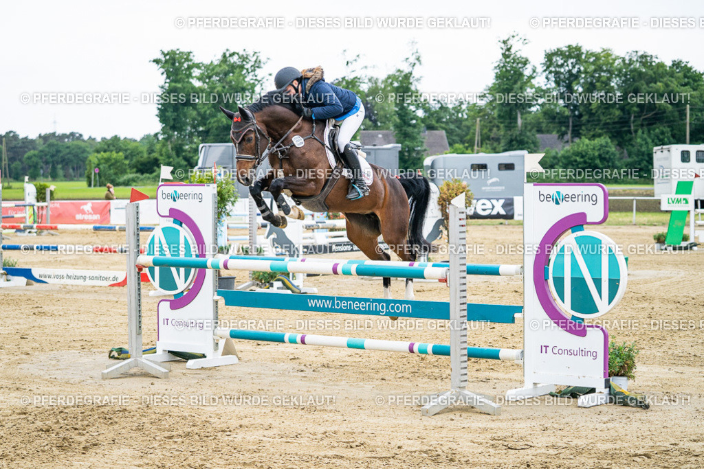 DSC05947 | Pferdegrafie