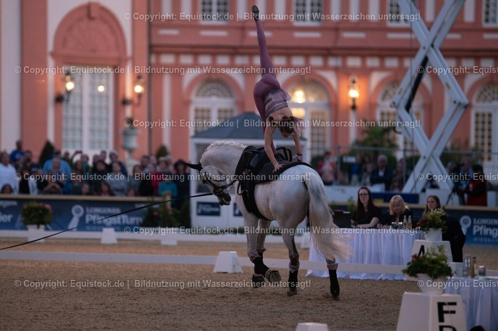 20230527_Voltigieren_NASPA_Flutlicht_0352 | equistock
