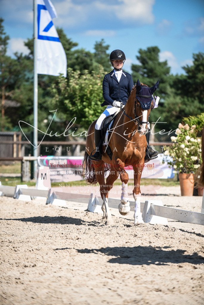 DSC_9751 | Pferde- und Turnierfotografie in Westsachsen. Pferdeportraits, Auftragszeichnungen und intuitive Kunst.