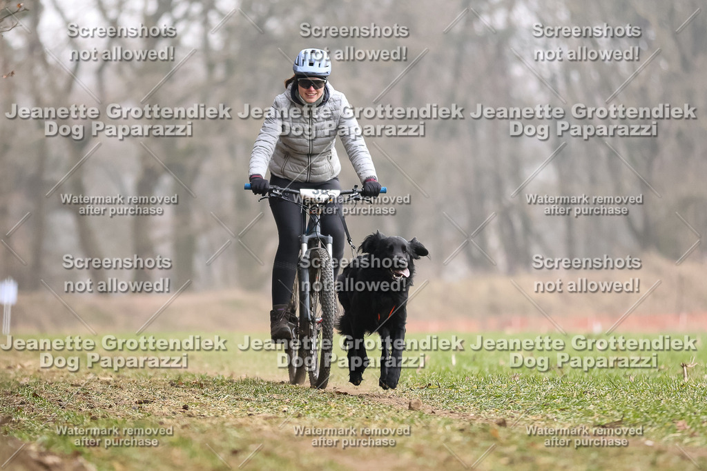 Dog Paparazzi - Plate 2026-124 | Dog Paparazzi Jeanette Grottendiek Fotografie & Videografie - Realisiert mit Pictrs.com